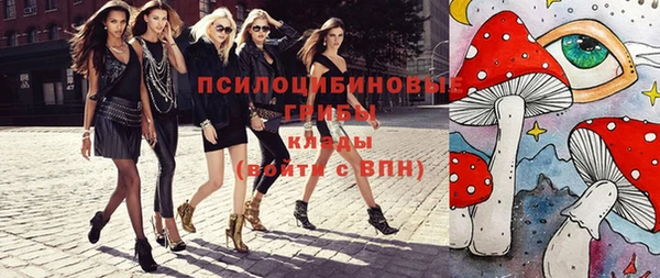 jwh Гусь-Хрустальный