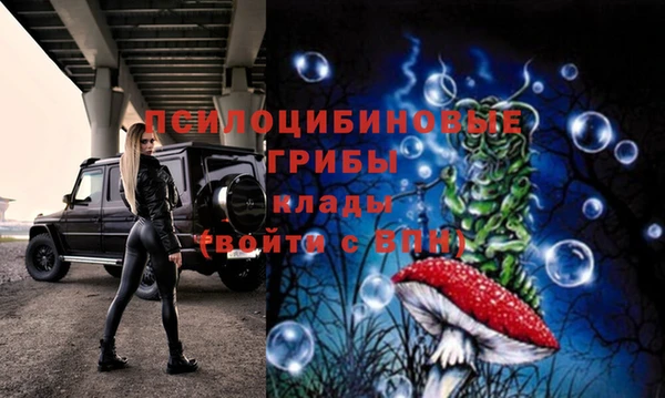 бошки Гусев