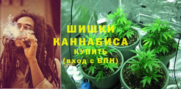 бошки Гусев