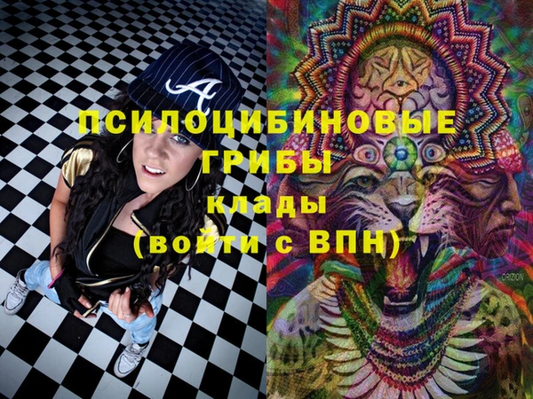 jwh Гусь-Хрустальный